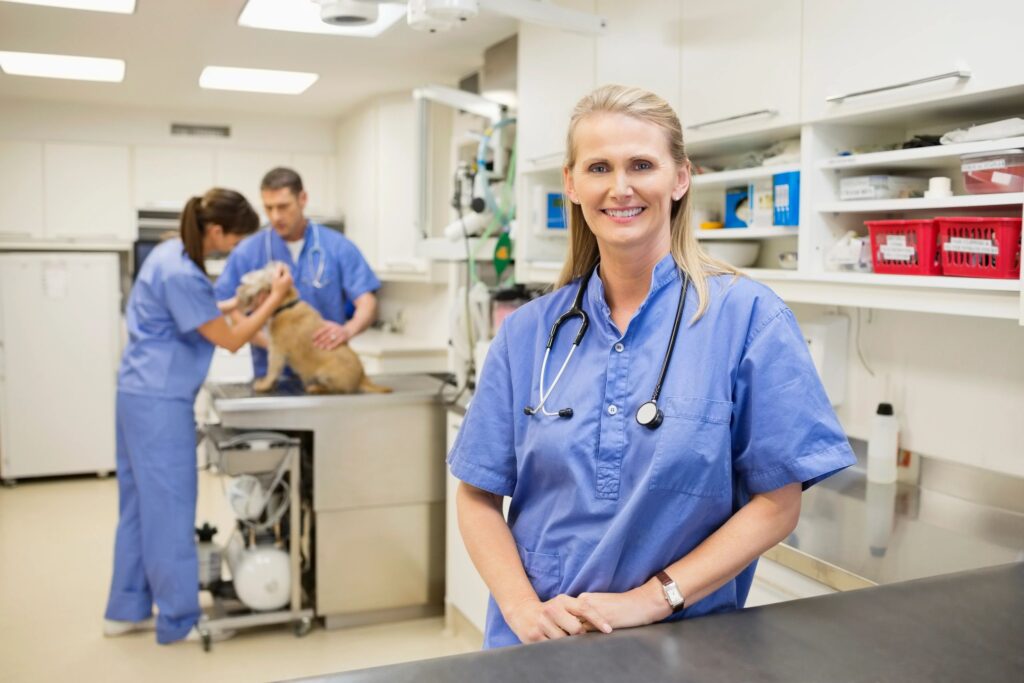 veterinary team professional