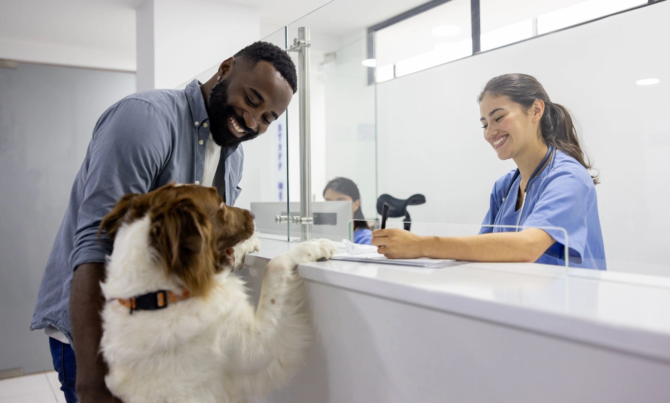 Veterinarian with pet and paperwork